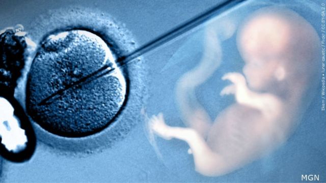 Major Alabama hospital pauses IVF after court rules frozen embryos are children