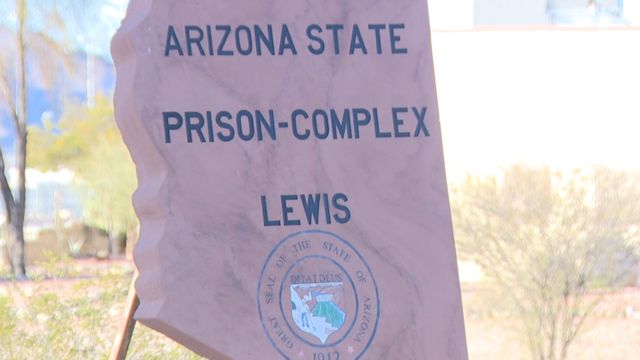 Nine prisoners sustained non-life-threatening injuries in a fight at Lewis Prison in Buckeye, Arizona