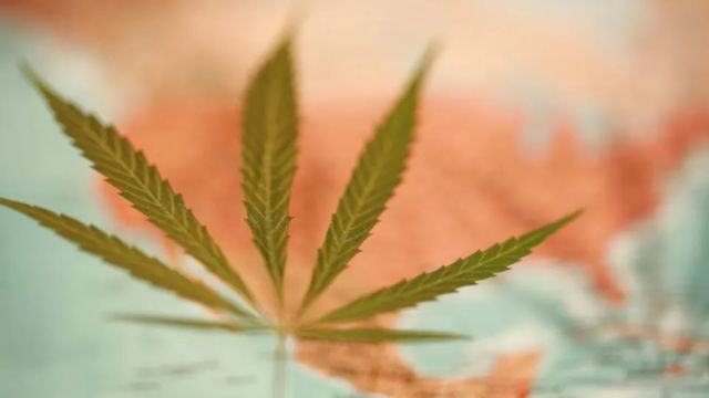 Where Can I Get Legal Marijuana in Colorado A Comprehensive Guide to Legalization