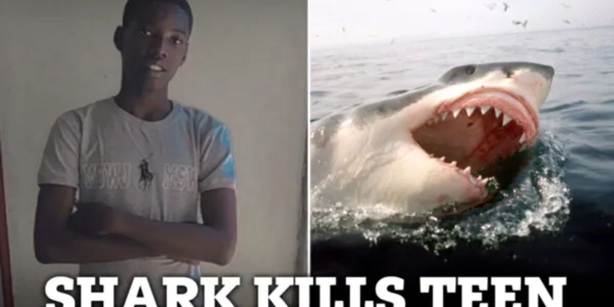 Big Issue Happened Suddenly! 16-Year-Old's Life Ended in Tragic Shark Attack in Jamaica