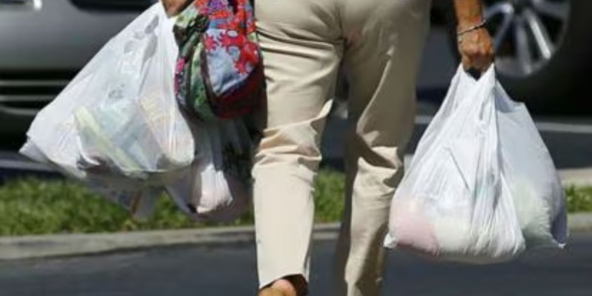 California Bans Paper and Plastic Bags New Law Eliminates Shopping Bag Choice