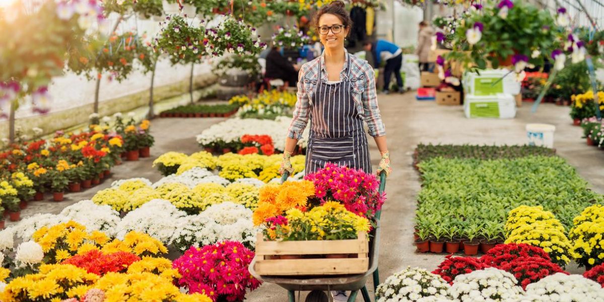 Northern California’s Top 5 Florists Leading the Way in Eco-Friendly Practices - Amazing View Is Here!