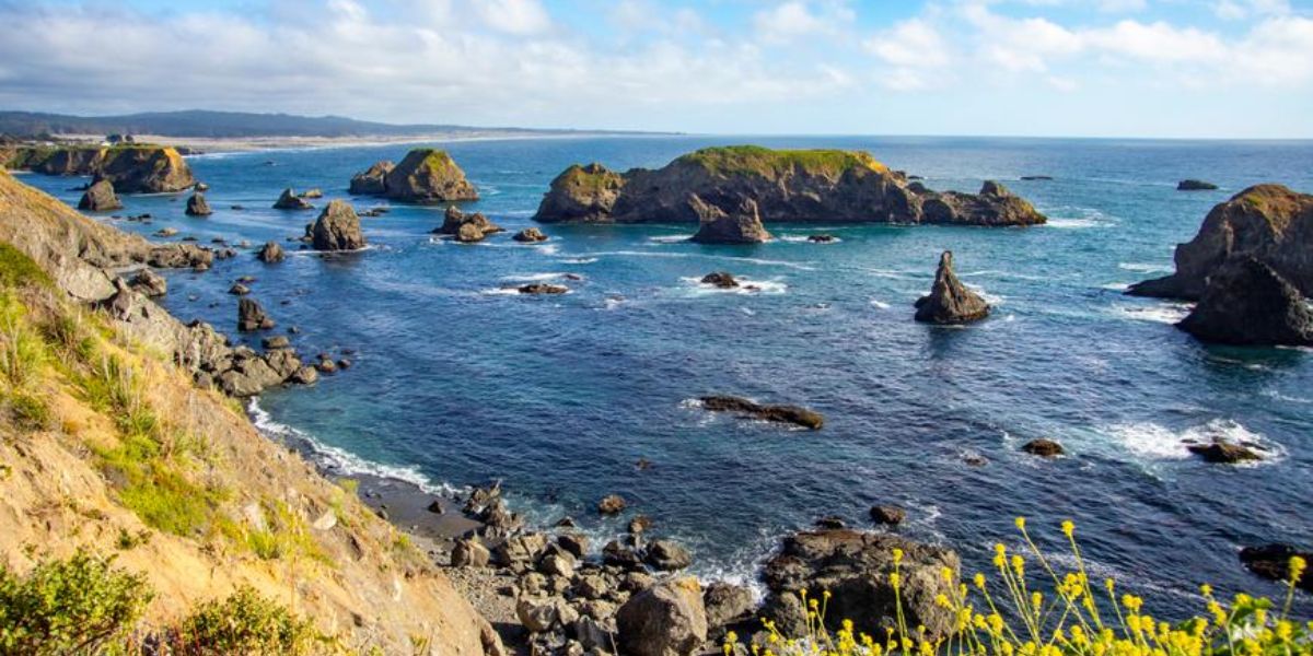 Northern California's Top 6 Cities to Live in for Your Next Big Move