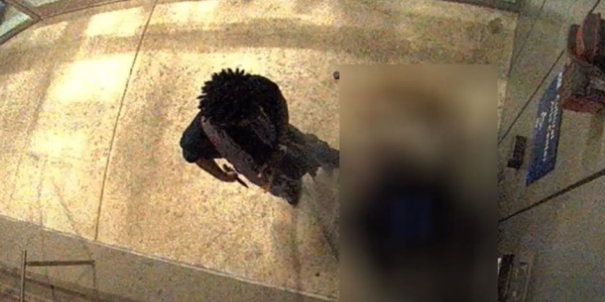 Shocking Video Captures Suspect Stabbing 77-Year-Old Outside Montgomery College Cultural Center