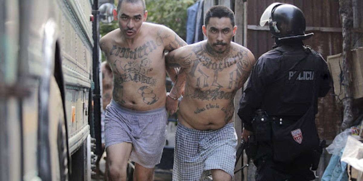 These Are the Five Deadliest Gangs Taking Over Arizona