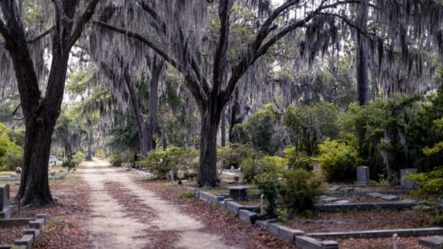 Ghostly Encounters The 5 Spookiest Haunted Locations in Georgia (1)