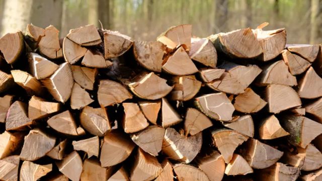 New York State Firewood Ban Guidelines and Implications for Residents (1)