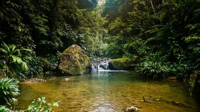 The Dangerously Beautiful National Park in Panama You Might Want to Avoid