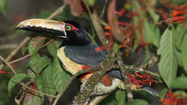 The Dangerously Beautiful National Park in Panama You Might Want to Avoid