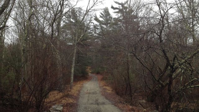 Two Mysterious Haunted Roads in Massachusetts Where Gravity Defies Logic