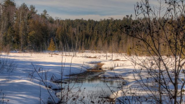 Why This Small Minnesota Town Is Known as the "Finland of the US"