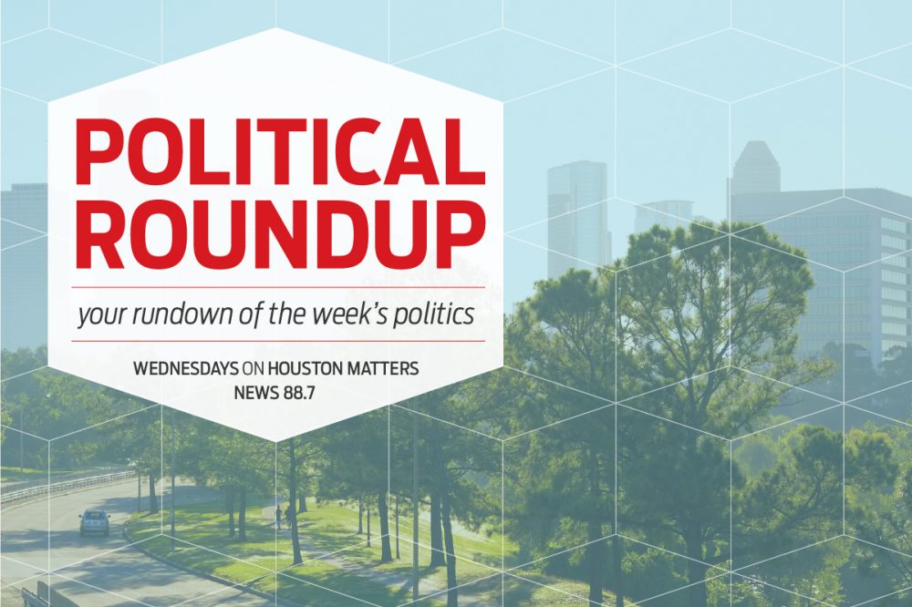 Political Roundup: Reflecting on a consequential year in politics